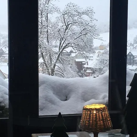 Harzer Schatz - Bergpack Apartment Braunlage