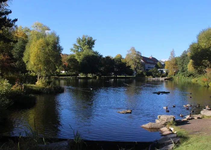 Daire Harzer Schatz - Bergpack *