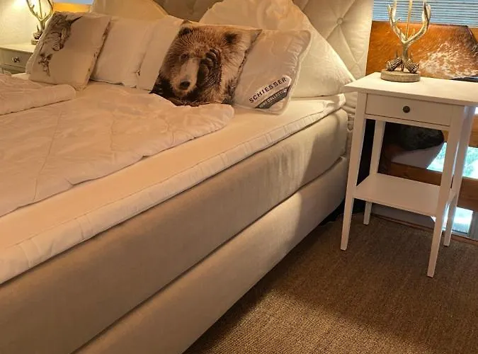 Harzer Schatz - Bergpack Daire